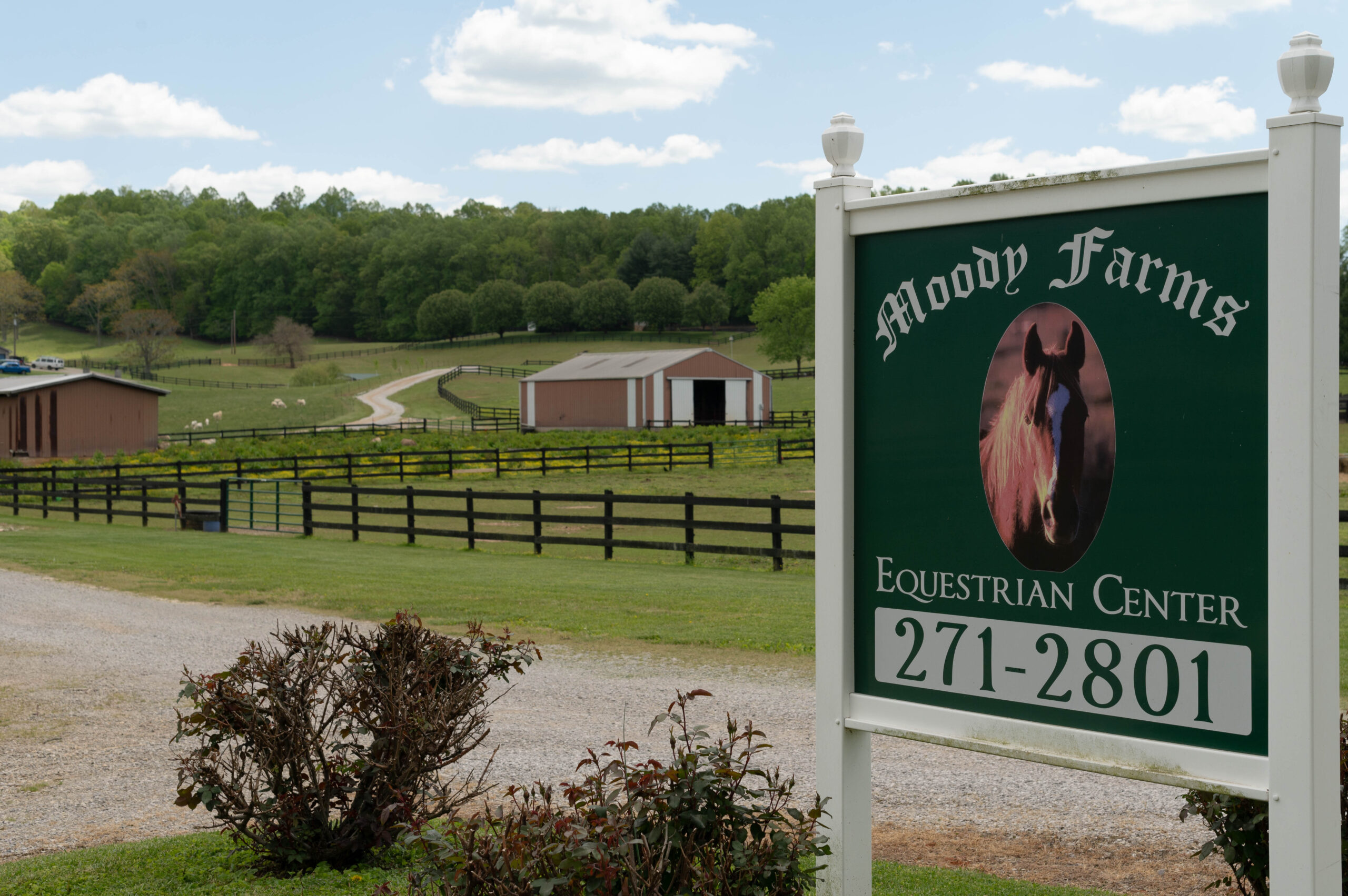 untitled (1 of 1)-16